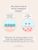 300Da Nola collagen mist vs regular collagen diagram showing benefits of low-molecular collagen for skin elasticity and absorption rate.