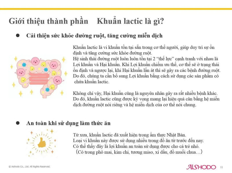 Introduction to lactic bacteria, explaining health benefits for the digestive system and immune support in Vietnamese text with illustrations