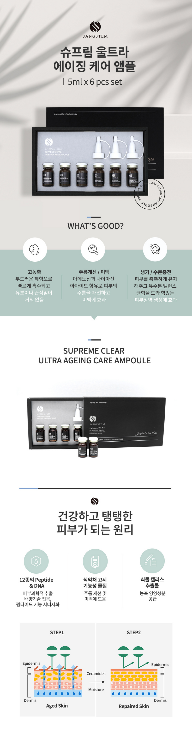 Jangsterm Supreme Ultra Ageing Care Ampoule