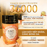 Thạch NMN Collagen Jelly 36000 Japan
