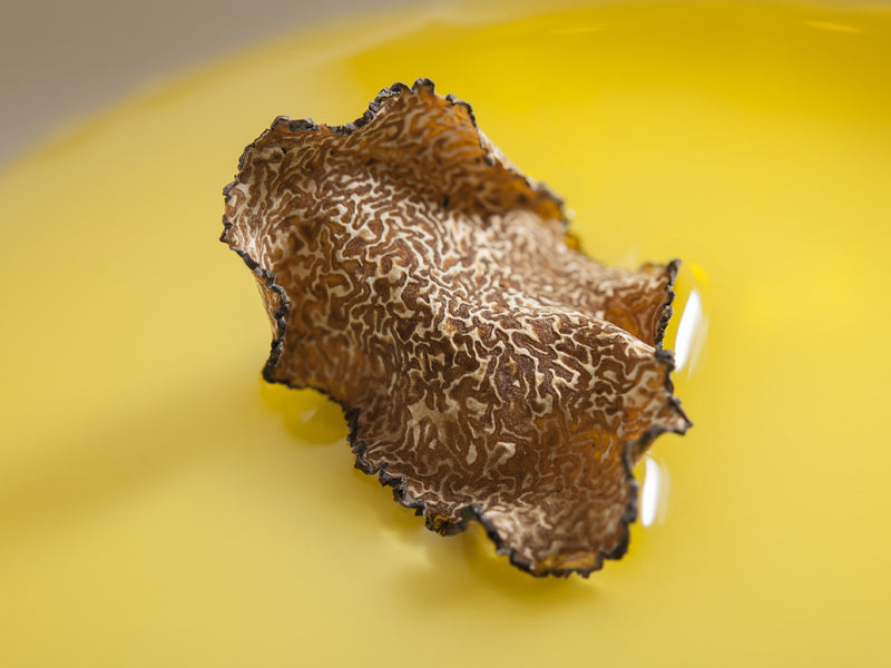 Tinh Chất Dưỡng D’Alba White Truffle Supreme Intensive Serum