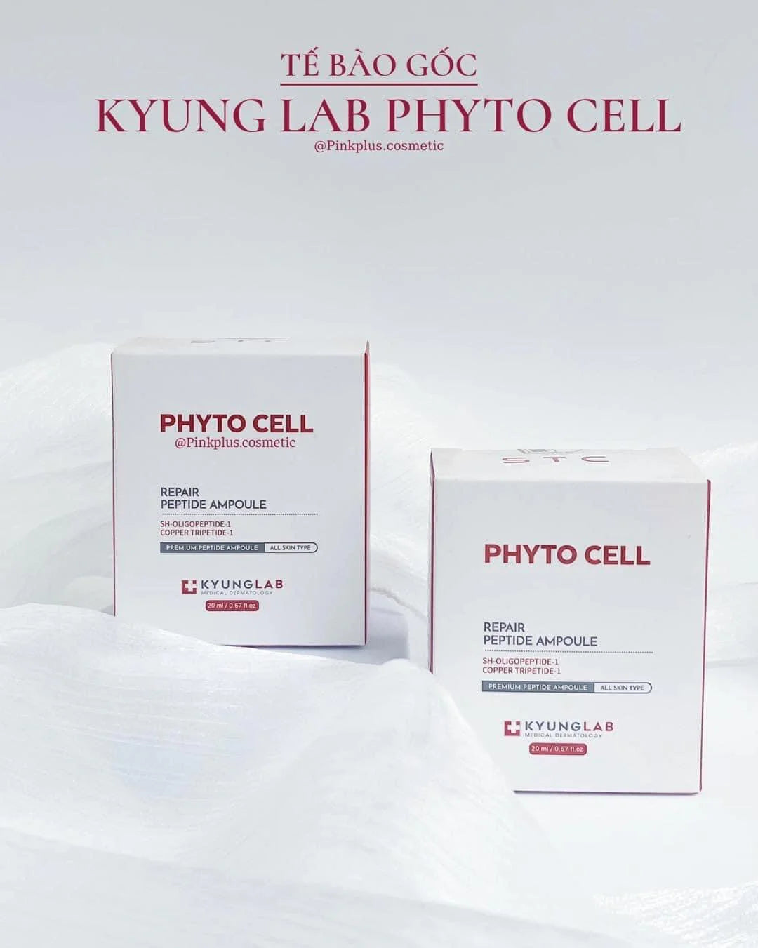 Tế Bào Gốc Kyunglab Phyto Cell Peptide Ampoule