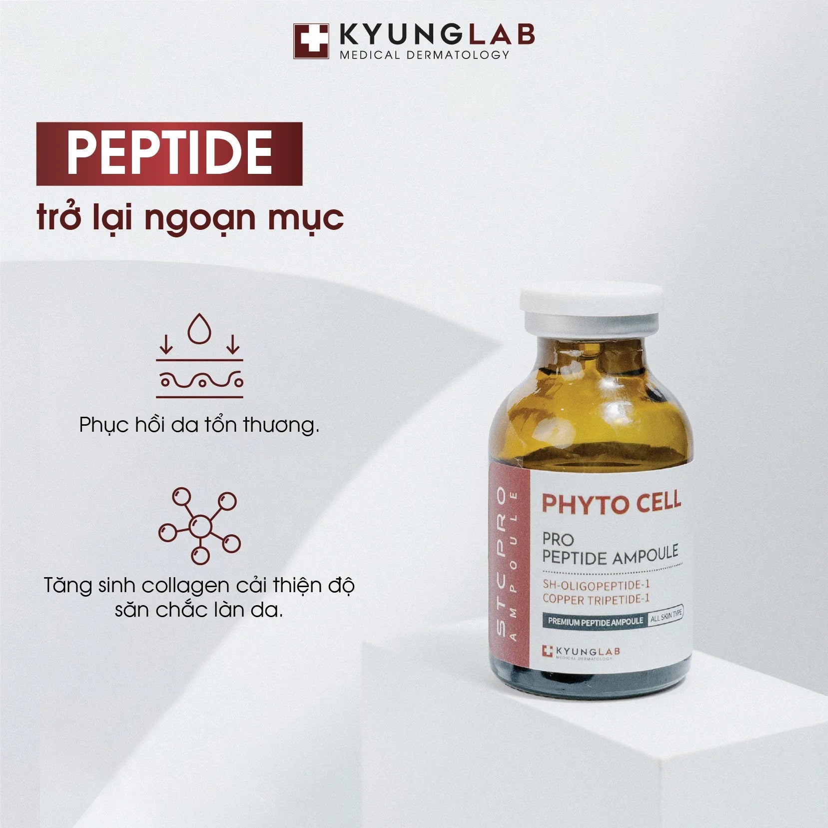 Kyunglab Phyto Cell Peptide Ampoule