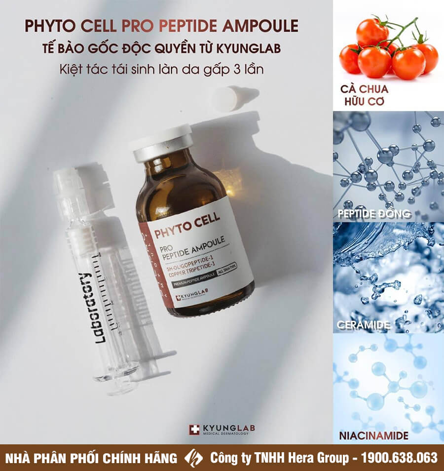 Tế Bào Gốc Kyunglab Phyto Cell Peptide Ampoule