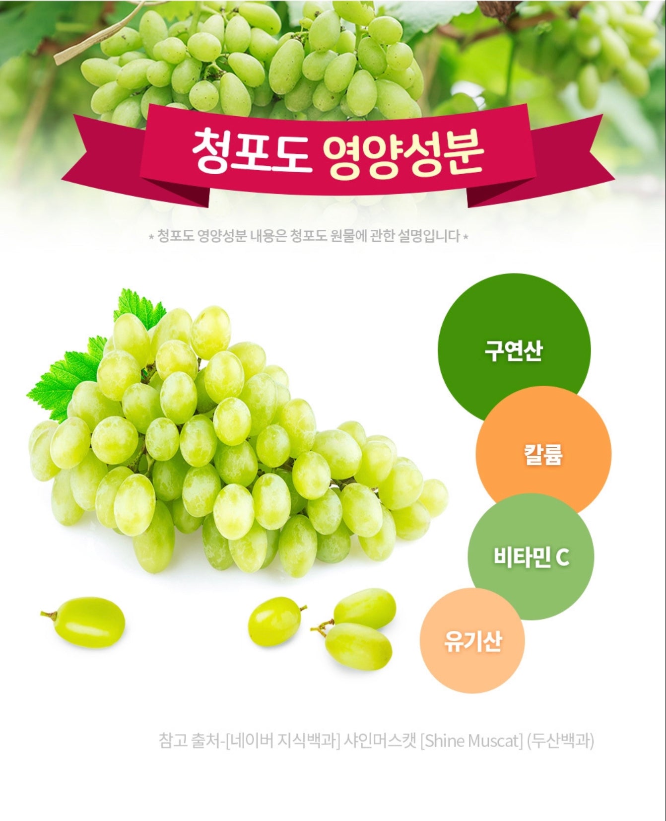 Thạch Nho Xanh EL NUTRI Green Grape Collagen Stick (hộp 60 gói)