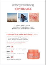 POUR LA PEAU Calamine Skin Relief Nourishing Cream for Skin Calming              50g / 1.76 oz - Vt Glamour