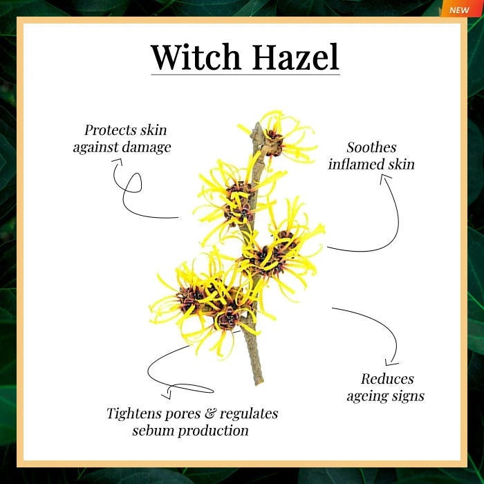 Derladie Natural Witch Hazel Toner 500ml