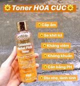 Toner Hoa Cúc SNO Calendula Herbal Phyto Toner