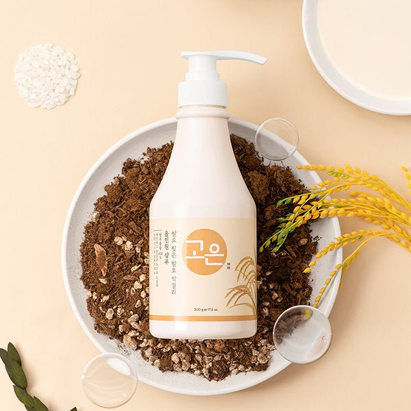 All in One Care - Brewed Makgeolli Shampoo