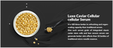 Tinh Chất dưỡng da trứng cá tầm Vento Vivere Luxe Caviar 30g Thụy Sĩ