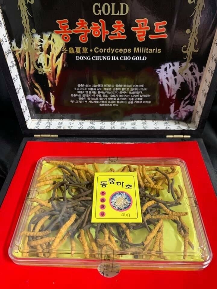 Dong Chu Ha Cho Gold Cordyceps Militaris