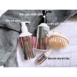 Bộ dầu gội xả nhân sâm Genie  