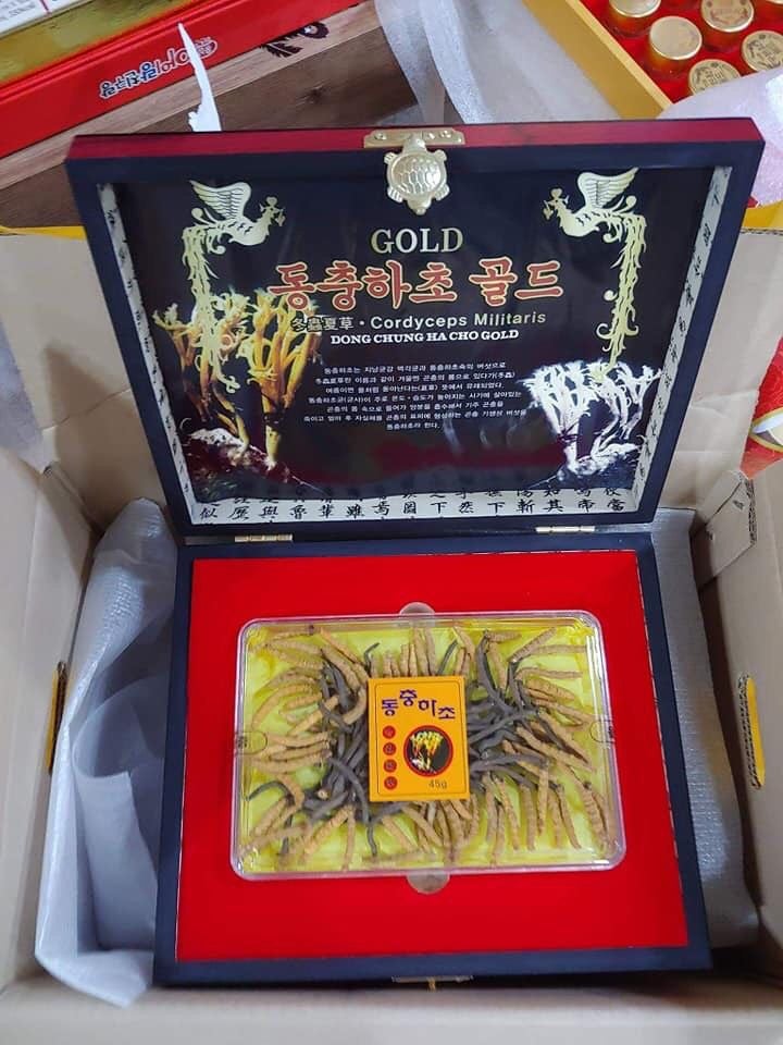 Dong Chu Ha Cho Gold Cordyceps Militaris