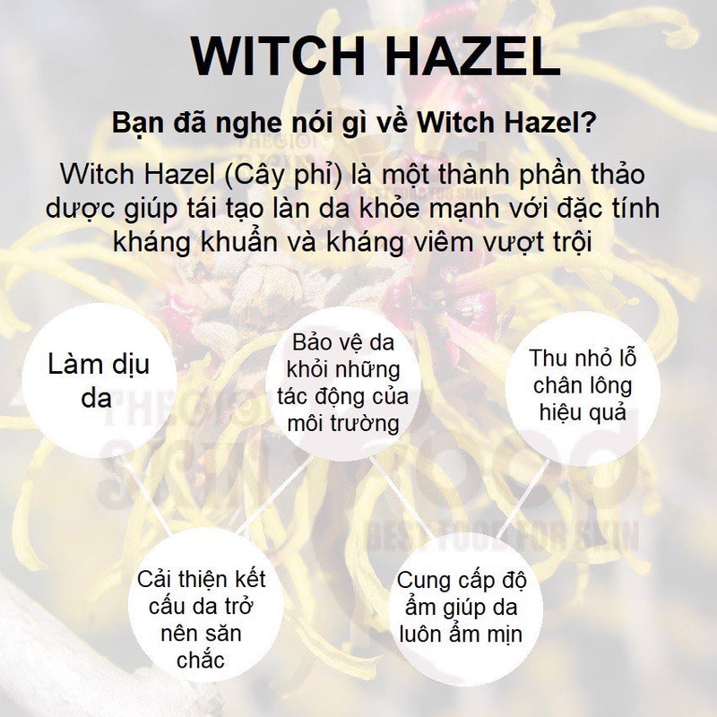 Nước Hoa Hồng Derladie Natural Witch Hazel Toner Làm Sạch Da, Dưỡng Ẩm 500ml - Vt Glamour