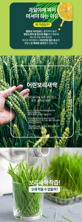 Mầm lúa mạch non Golden Herb ( hộp 100 gói )