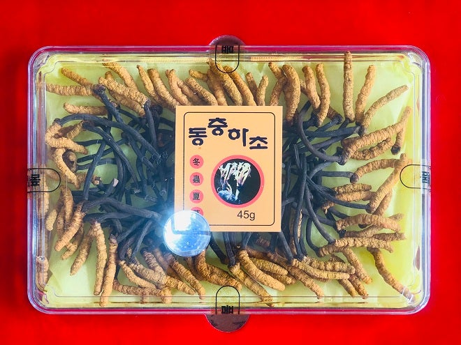 Dong Chu Ha Cho Gold Cordyceps Militaris